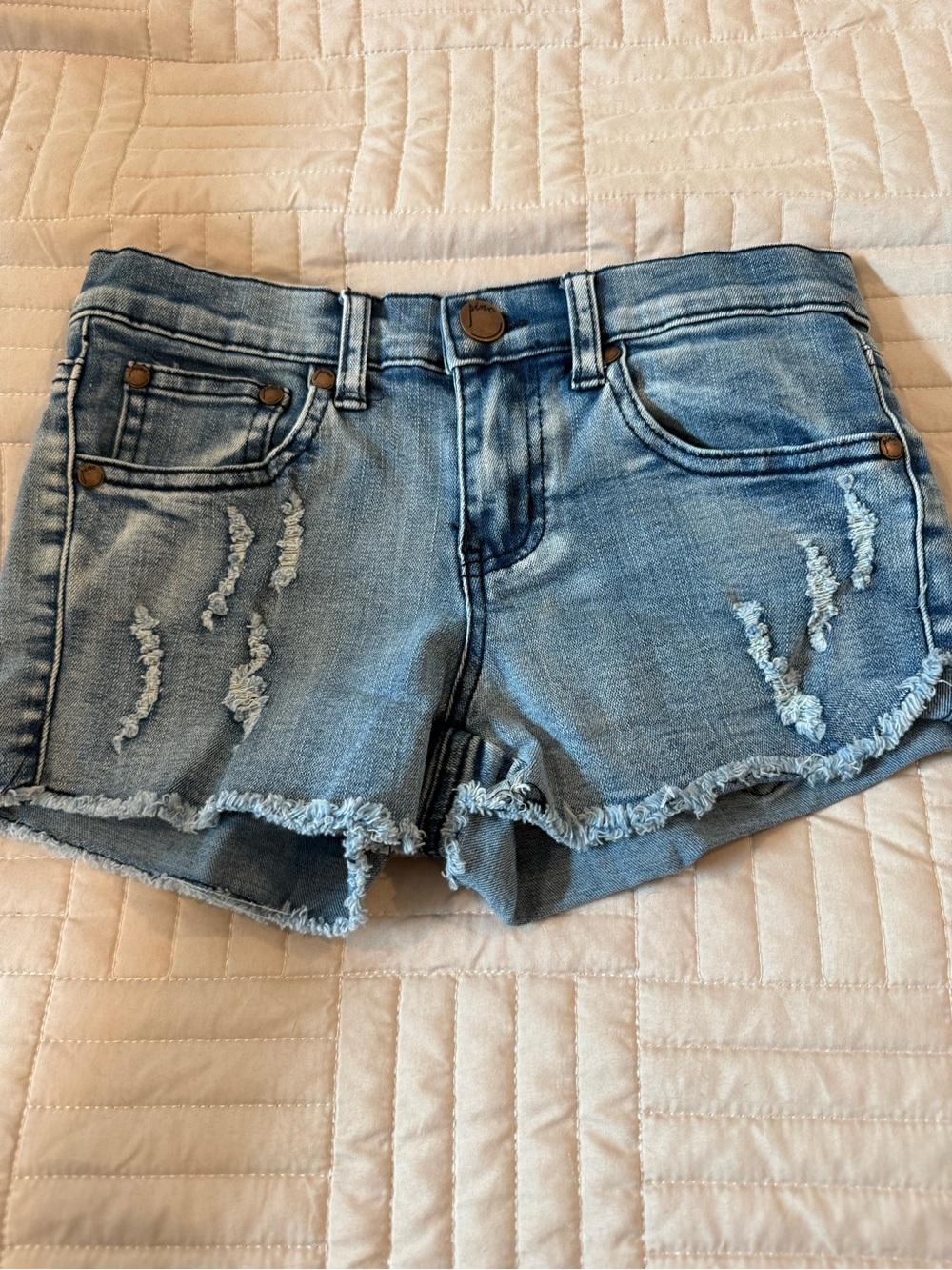Pinc Light Blue Distressed Denim Shorts with Frayed Hem